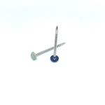 A4 Stainless Steel UV Stable Plastic Head Nails Nylon PA6 Head
