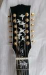 Custom AAAAA 12 Strings All Solid Wood Doves in Flight Viper Blue Acoustic Folk