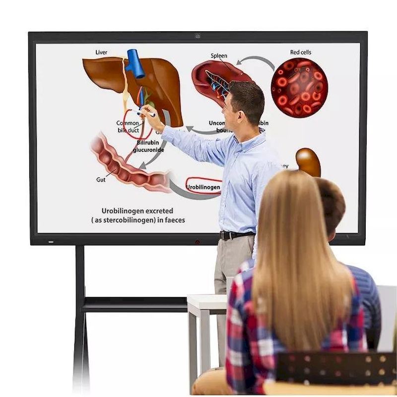 4K Smart Interactive Flat Panel DP Conference LCD Capacitive Touchscreen