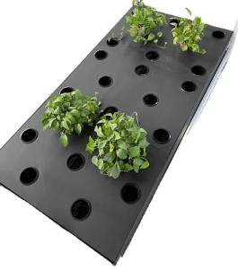 Quality PP Aeroponic Grow System Height 15cm Hydroponic Cloning Box wholesale