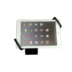 COMER security display devices for tablet holders