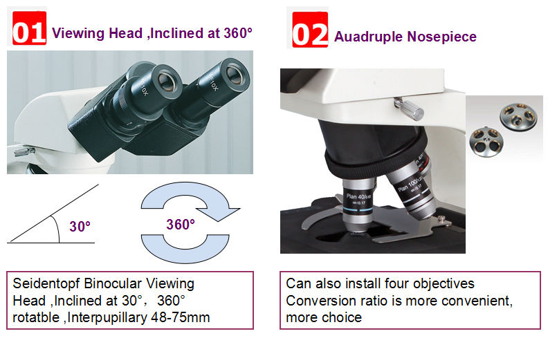 Double Layer Mechanical Stage Inverted Fluorescence Microscope 230×150mm NCH-B2000