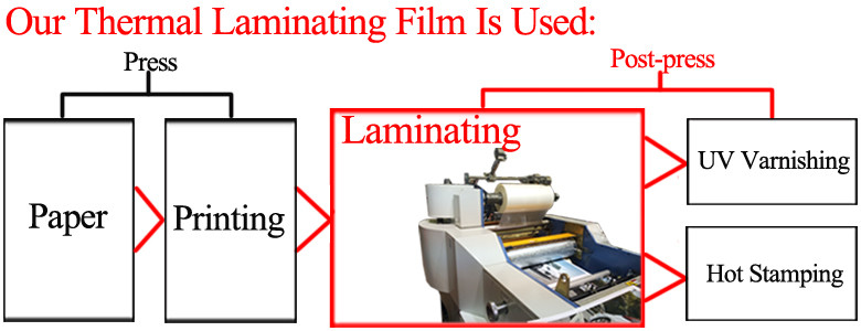 Double Side Corona Treated Thermal Laminate Roll , Spot UV Varnish Thermal Film