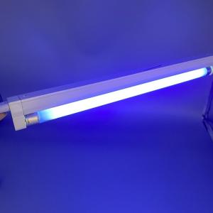 Quality G5 Base T5 BL Tub Fluorescent 8W For Insect And Mosquito Attraction wholesale