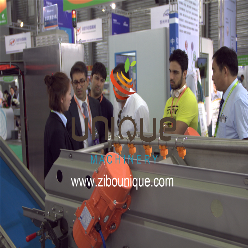 Stainless Steel 304 Automatic Electric Potato Cutter Machine for Onion Slicing Needs