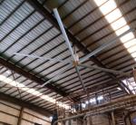6.1M 20 Foot Big Size Commercial Ceiling Fans For Gyms