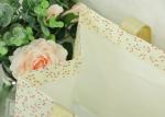 Soft White Eco Paper Bags Full Side Printing Woven Tape For Birthday Present