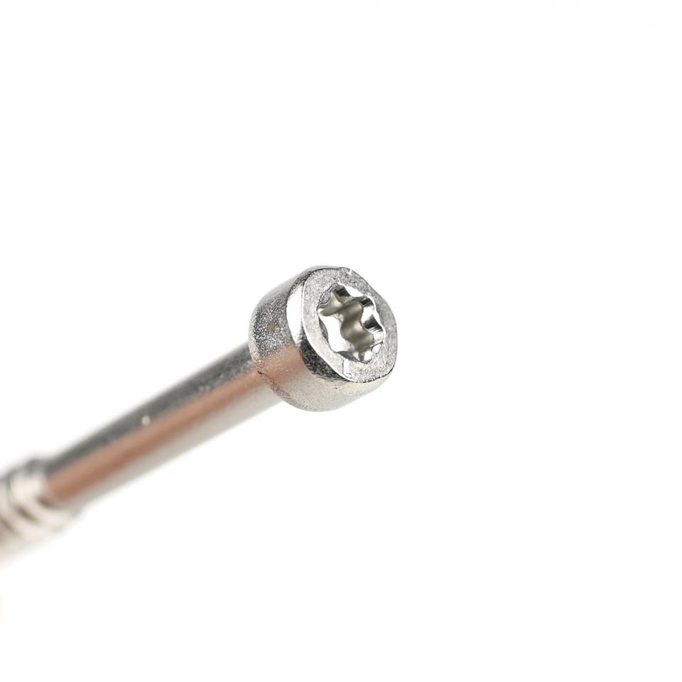 Stainless Steel Cup Fillister Head Torx Self Tapping Screw for Various Applications
