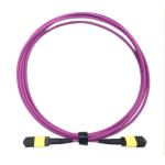 OFNP MPO Patch Cable