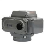 Low Temperature Stainless Steel Electric Actuator 100nm 4S Action Time