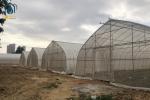 Stainless Steel Sigma Hoop House Greenhouse With Hydroponic Growing System