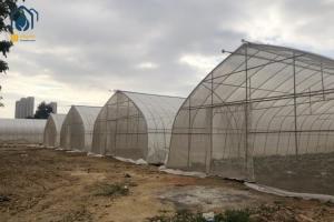 Quality Stainless Steel Sigma Hoop House Greenhouse With Hydroponic Growing System wholesale