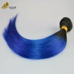 Girl Raw Brazilian Ombre Human Hair Extensions Bundles Blue 1B