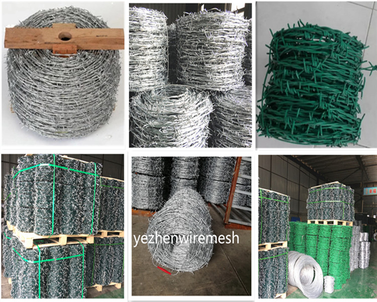 Hot Dipped Galvanizedbarbed wire/cheap barbed wire price per roll/barbed wire roll price fence Razor Barbed Wire