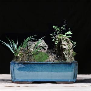 Quality Blue 30.3cmx21.6cmx10.5cm Ceramic Glazed Bonsai Pots wholesale