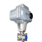 AC110V Automatic Electric Ball Valve High Efficient SS304 3PC DN15 with BSPT