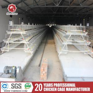 Quality 4 Birds Per Cell Battery Cage System Hot Dipped Galvanized wholesale