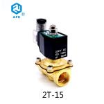 Brass Electric Natural Gas Solenoid Valve 1/2 inch 220V
