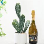 Mini Size Fake Cactus Plant Silk Plastic Material 40-43 Height R001025