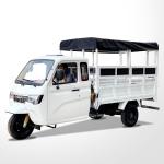 Custom Color Body Overall Frame 800cc Car Engine Motorcycle Tricycle for Adult 3