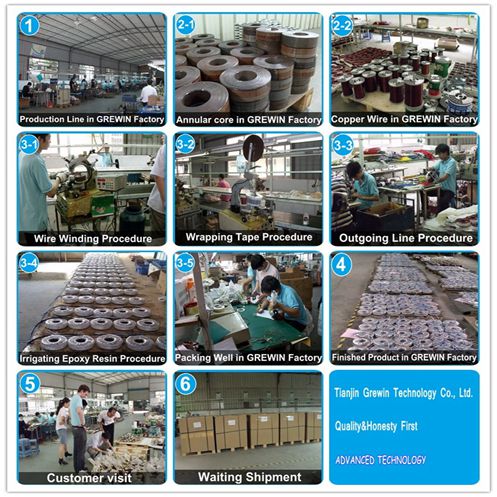 step upToroidal Transformer for led Lighting 3va 100va 200va 300va 400va 5kva 6000VA