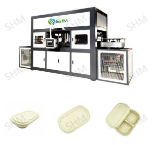 Quality Biodegradable Pulp Molding Tableware Machine Disposable Dish Line wholesale