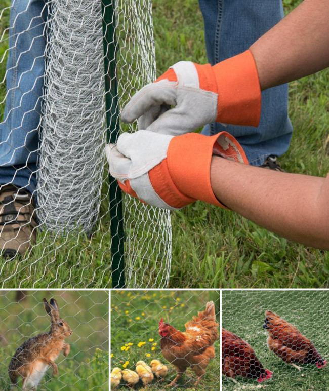 Galvanized Farm Bwg27 Chicken Mesh Fence , Hexagonal Poultry Netting