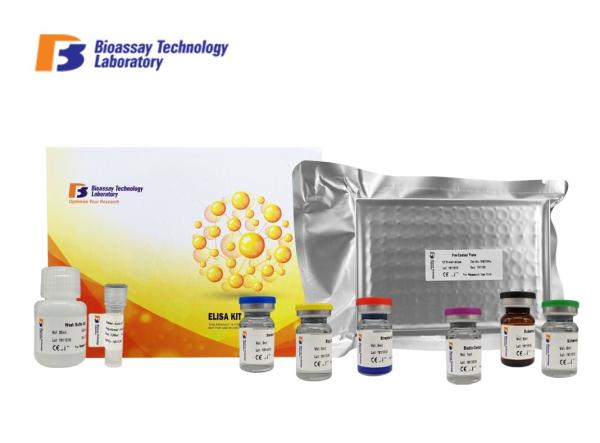 Beta - Hydroxybutyric Acid Bovine ELISA Kit 96 Wells High Specificity For