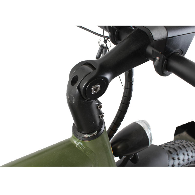 DOMANCA 2024 Vintage Off-road E Bike with Max Speed of 30-50Km/h and Range of 31-60 km