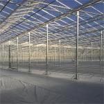 Hot Dip Galvanizing Steel Frame Photovoltaic Solar Venlo Glass Greenhouse Multi