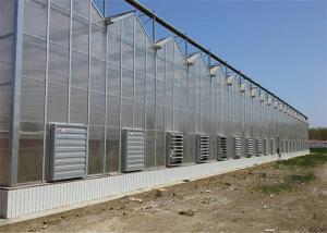 Quality Shouguan Agricultural Glass Greenhouse Hot Dip Galvanized Rust Prevention Design wholesale