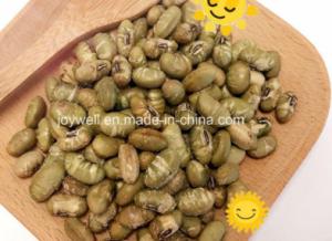 Quality Vegan Pure Natural No Additive Roasted Green Beans Edamame Sea Salt Flavor wholesale