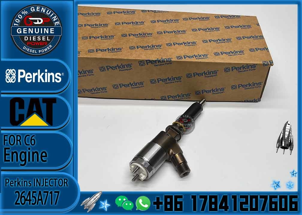 original 321D 323D excavator C6.4 C6.6 engine injector 2645A717 fuel injector 3172300 317-2300
