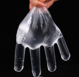 Quality Transparent LDPE Disposable Plastic Gloves Waterproof For Restaurant wholesale