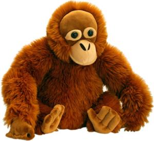 Quality 20cm Cute Wild Monkey Stuffed Animal Toys Eco Friendly Personalized wholesale