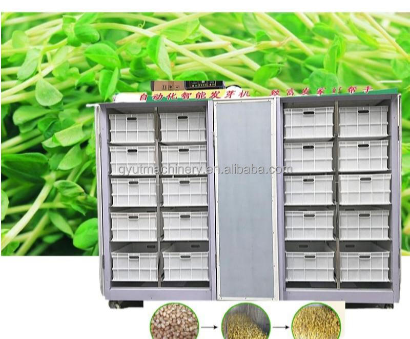 Barley Sprout Machine Room for Hydroponic Fodder System 4600 * 1400 * 1700mm 2024