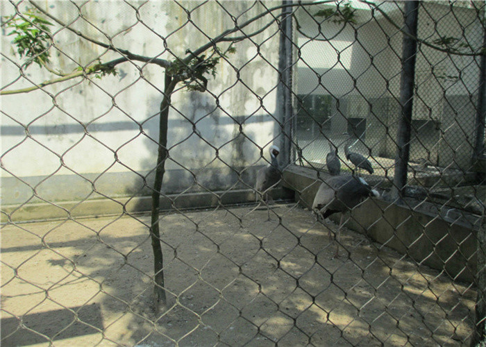Pliability 7x7 Aviary Wire Mesh SUS 316 Stainless Steel Cable Webnet 30x30mm