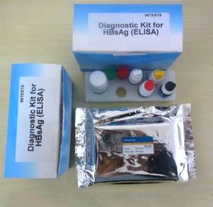 Quality Approved FSC Rapid Self Test Kit Medical Diagnostic Device Hbsag wholesale