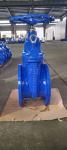OEM Flanged Soft Seat Gate Valve DIN/BS5163/ANSI/GB Standard