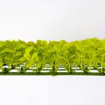 Waterproof Artificial Synthetic Grass