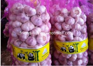 Quality Breathable PE Mesh Woven Bag Garlic Packing Rachel Bags wholesale