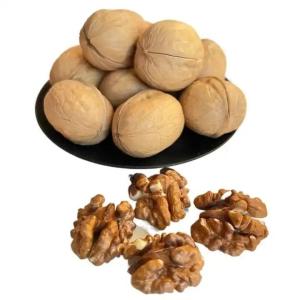 Quality Factory Wholesale 10kg/bag raw 185/33/xin2/xingfu walnuts Amazon’s best-selling products wholesale