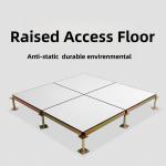China Raised Floor for Data Center Clean Room