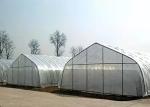 Hydroponic Growing Plastic Film Greenhouse , Thin Film Home Garden Greenhouse