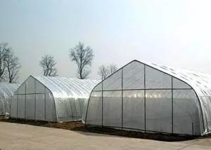 Quality Hydroponic Growing Plastic Film Greenhouse , Thin Film Home Garden Greenhouse wholesale
