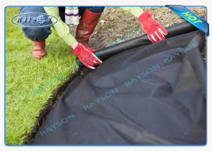 Quality Environmental Black Weed Control Fabric For Vegetable Garden Agriculture Non Woven Cover wholesale