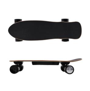 Adjustable Speed Cruiser Electric Skateboard With Wireless LED Remote