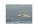 Commercial Flying Fish Towable Inflatables With Airtight Structure