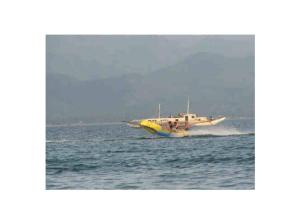 Quality Commercial Flying Fish Towable Inflatables With Airtight Structure wholesale