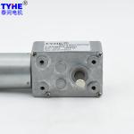 20Rpm DC Worm Gear Motor 6V 12V DC Right Angle Gear Motor